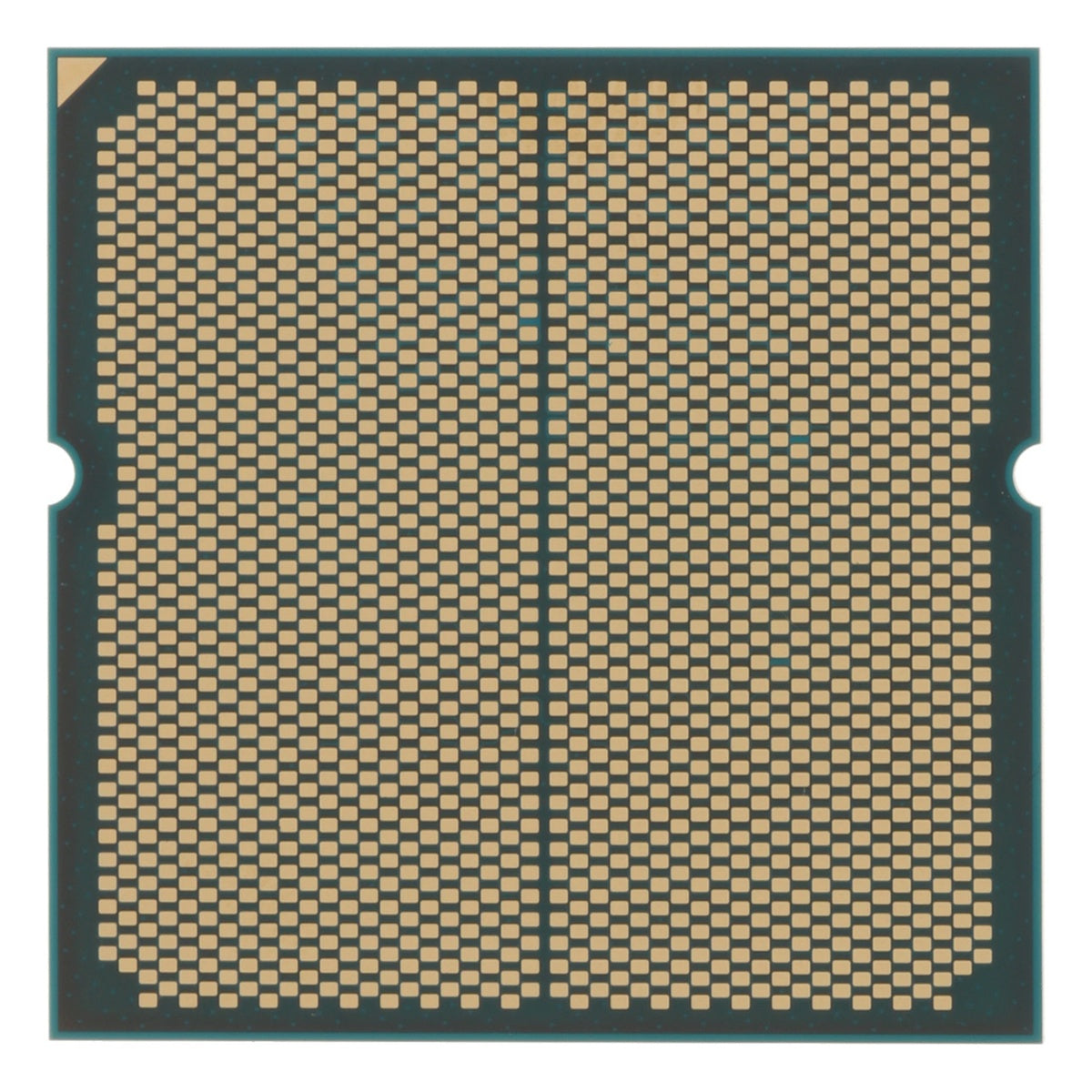 AMD Ryzen 5 9600X AM5 processor underside