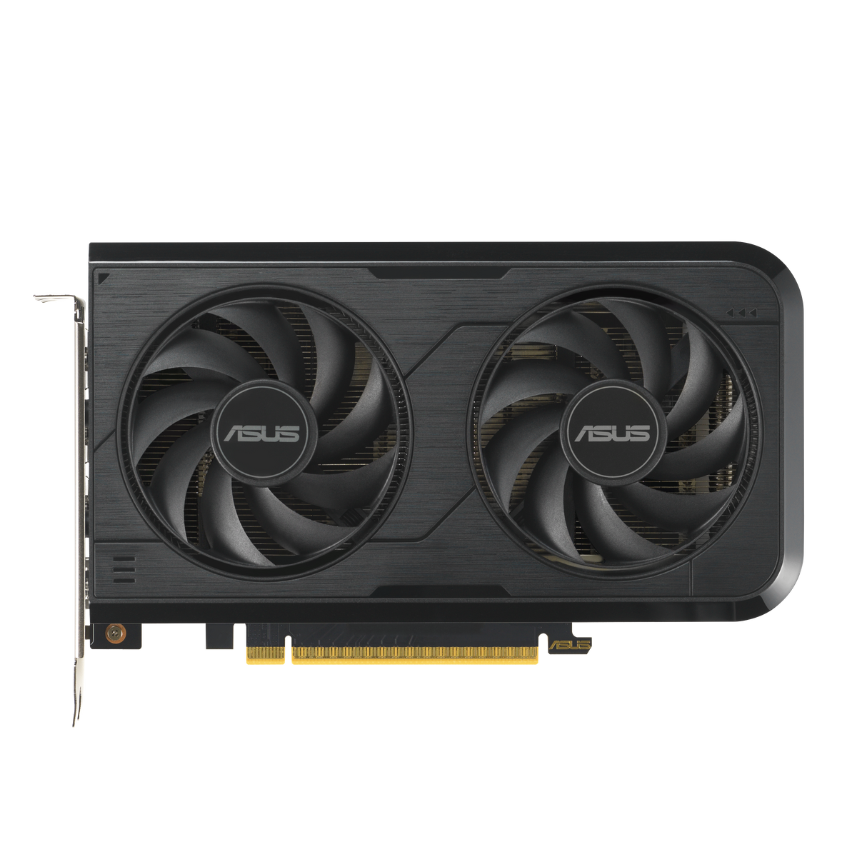 ASUS Dual GeForce RTX 5050 8GB GDDR6 OC Edition front view