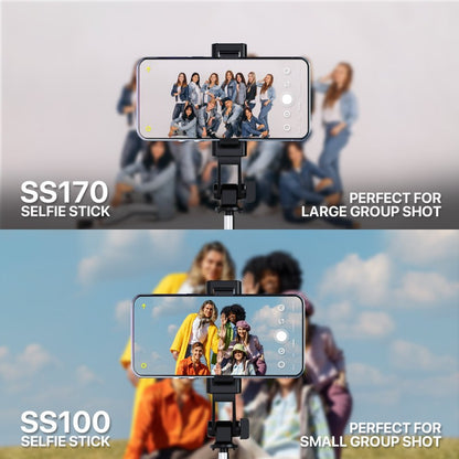 SS100 – DistiPlus gallery image 9