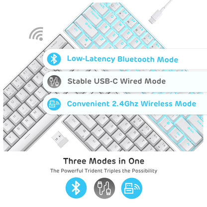 Royal Kludge RK61 white 60 percent mechanical keyboard wireless connectivity